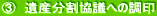 B@Ycւ̒ 